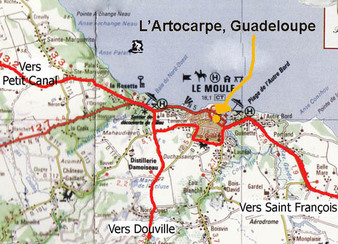 L'Artocarpe on the map! (Visit of the town)        L'Artocarpe sur la carte! Visite de la ville