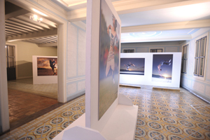 Exhibition of Philippe Virapin at the Pavillon de la Ville de Pointe-à-Pître in partnership with L'Artocarpe (2010)