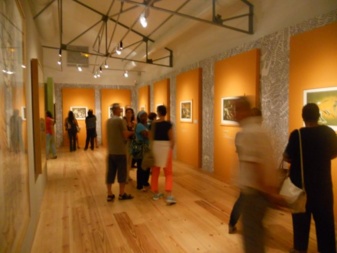 Photo "volée" de l'exposition Césaire, Lam, Picasso à la Fondation Clément