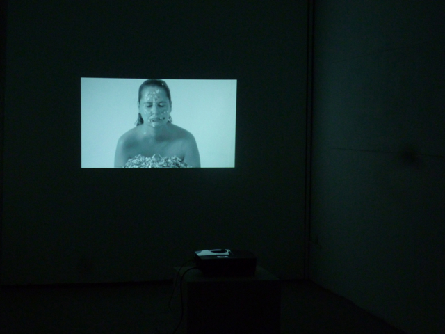 Video from Isabelle Levenez presented at L'Artocarpe, Aug. 2015